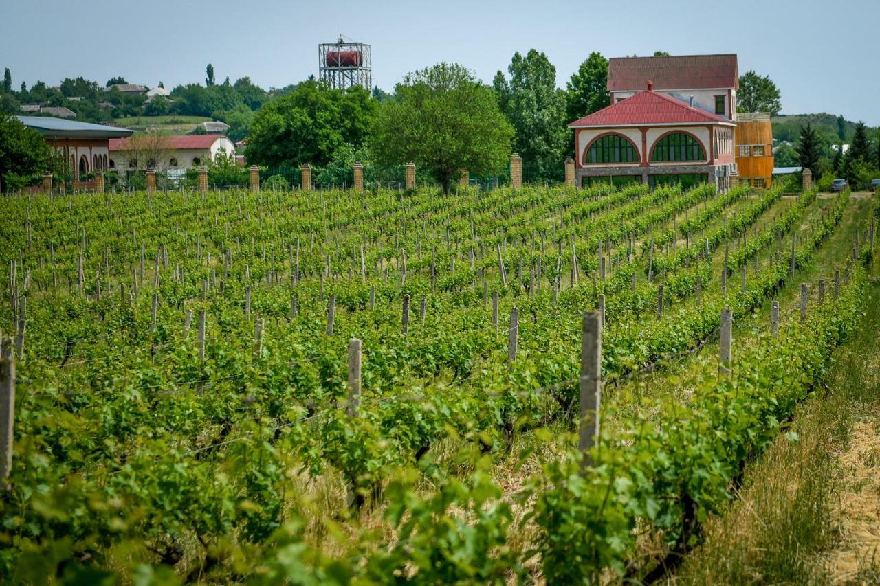 Chabiant Guesthouse Chateau Monolit Ikinci Yeniyol 外观 照片